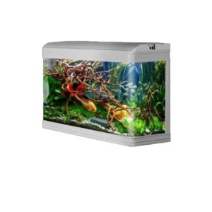 قیمت و خرید آکواریوم دلسا k800 بدون پایه