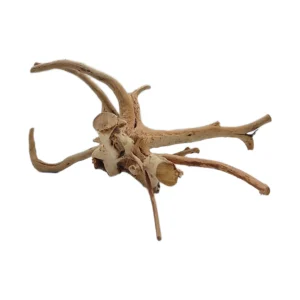 قیمت و خرید چوب تزئینی آکواریوم ریشه آبنوس (220 گرم)
