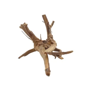 قیمت و خرید چوب تزئینی آکواریوم ریشه آبنوس (390 گرم)