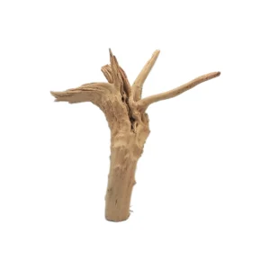 قیمت و خرید چوب تزئینی آکواریوم ریشه آبنوس (520گرم)